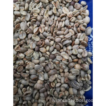 Grade 2 Screen 13 Robusta Coffee Beans